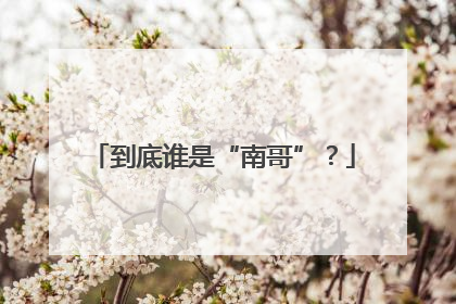 到底谁是“南哥”？