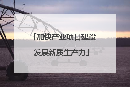 加快产业项目建设 发展新质生产力