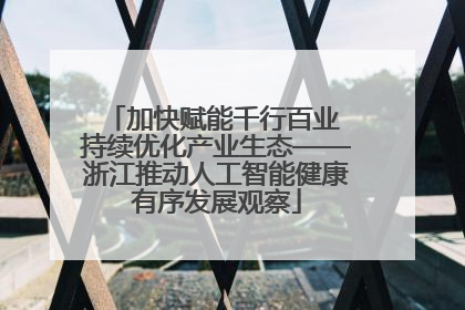 加快赋能千行百业 持续优化产业生态——浙江推动人工智能健康有序发展观察