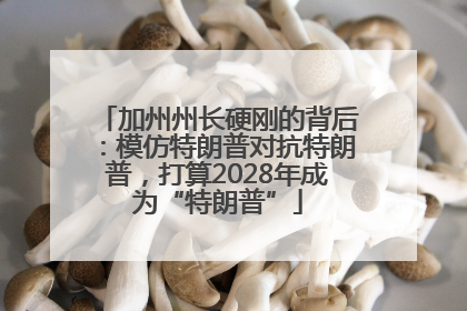 加州州长硬刚的背后：模仿特朗普对抗特朗普，打算2028年成为“特朗普”