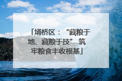 埇桥区：“藏粮于地、藏粮于技” 筑牢粮食丰收根基