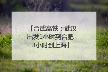 合武高铁：武汉出发1小时到合肥3小时到上海