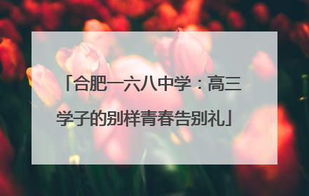 合肥一六八中学：高三学子的别样青春告别礼