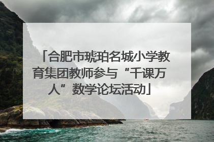 合肥市琥珀名城小学教育集团教师参与“千课万人”数学论坛活动
