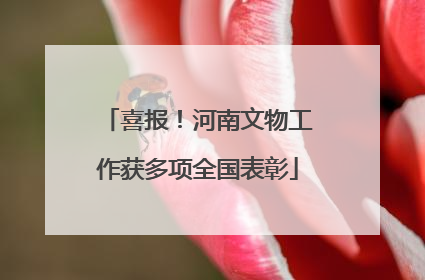 喜报！河南文物工作获多项全国表彰