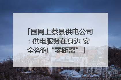 国网上蔡县供电公司：供电服务在身边 安全咨询“零距离”