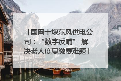 国网十堰东风供电公司：“数字反哺” 解决老人度夏缴费难题