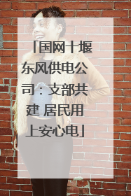 国网十堰东风供电公司：支部共建 居民用上安心电