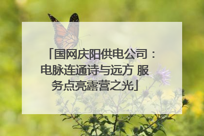 国网庆阳供电公司：电脉连通诗与远方 服务点亮露营之光