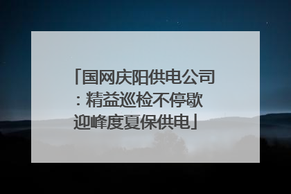 国网庆阳供电公司：精益巡检不停歇 迎峰度夏保供电