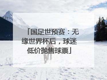 国足世预赛：无缘世界杯后，球迷低价抛售球票