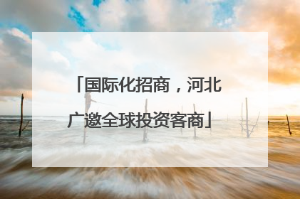 国际化招商，河北广邀全球投资客商
