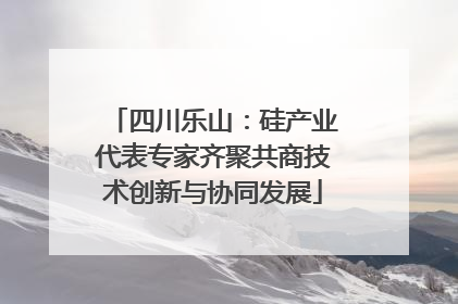 四川乐山：硅产业代表专家齐聚共商技术创新与协同发展