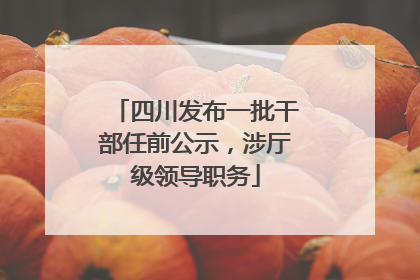 四川发布一批干部任前公示，涉厅级领导职务