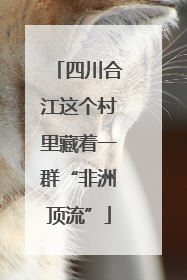 四川合江这个村里藏着一群“非洲顶流”