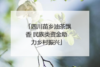 四川苗乡油茶飘香 民族类资金助力乡村振兴