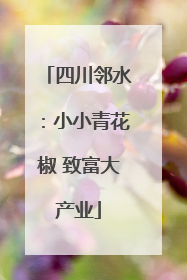 四川邻水：小小青花椒 致富大产业