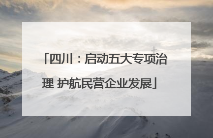 四川：启动五大专项治理 护航民营企业发展