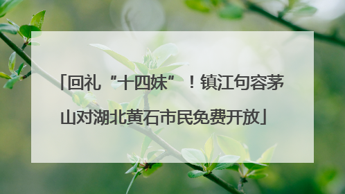 回礼“十四妹”！镇江句容茅山对湖北黄石市民免费开放