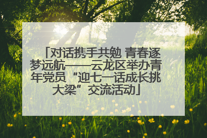 对话携手共勉 青春逐梦远航——云龙区举办青年党员“迎七一话成长挑大梁”交流活动
