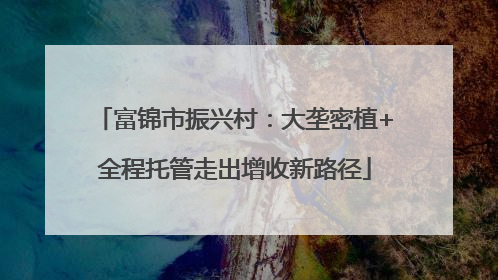 富锦市振兴村：大垄密植+全程托管走出增收新路径