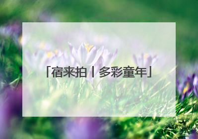 宿来拍丨多彩童年