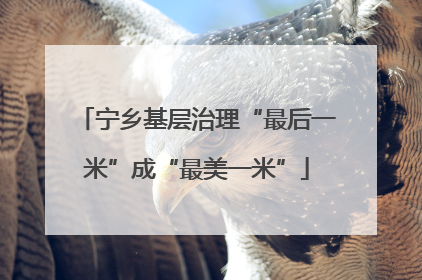 宁乡基层治理“最后一米”成“最美一米”