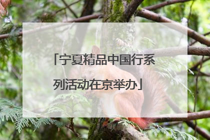 宁夏精品中国行系列活动在京举办