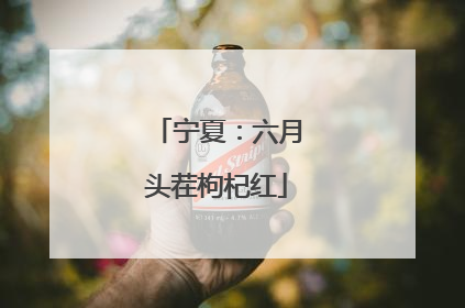 宁夏：六月头茬枸杞红