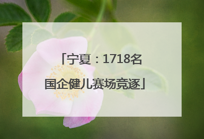 宁夏：1718名国企健儿赛场竞逐