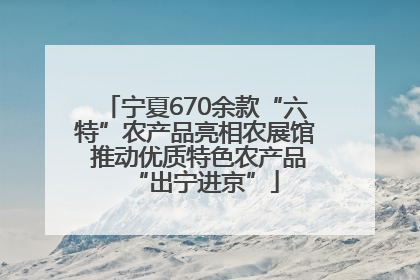宁夏670余款“六特”农产品亮相农展馆 推动优质特色农产品“出宁进京”