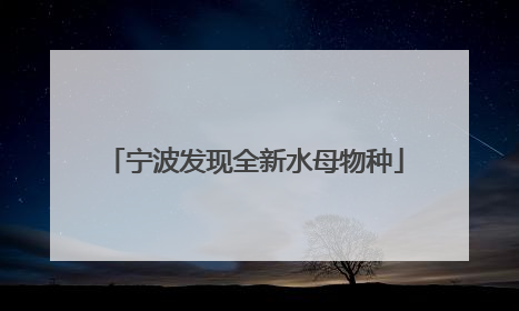 宁波发现全新水母物种