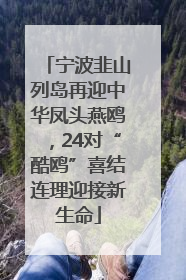 宁波韭山列岛再迎中华凤头燕鸥，24对“酷鸥”喜结连理迎接新生命