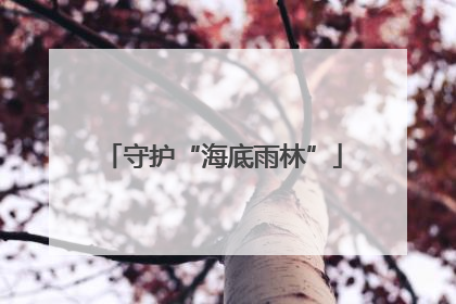 守护“海底雨林”