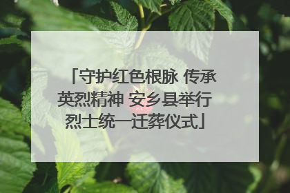 守护红色根脉 传承英烈精神 安乡县举行烈士统一迁葬仪式