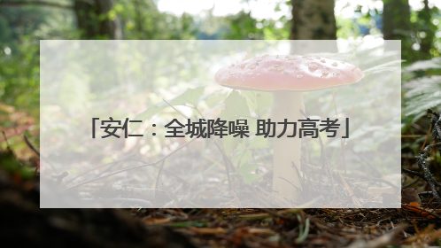 安仁：全城降噪 助力高考