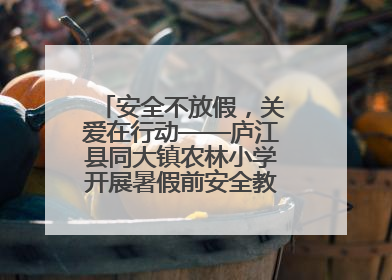 安全不放假，关爱在行动——庐江县同大镇农林小学开展暑假前安全教育大家访
