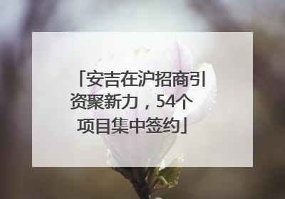 安吉在沪招商引资聚新力，54个项目集中签约