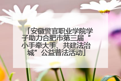 安徽警官职业学院学子助力合肥市第三届“小手牵大手、共建法治城”公益普法活动