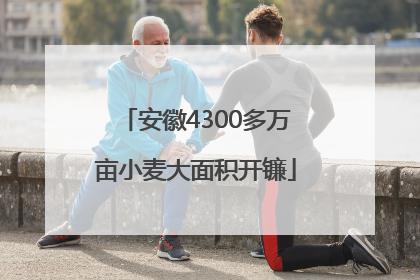 安徽4300多万亩小麦大面积开镰