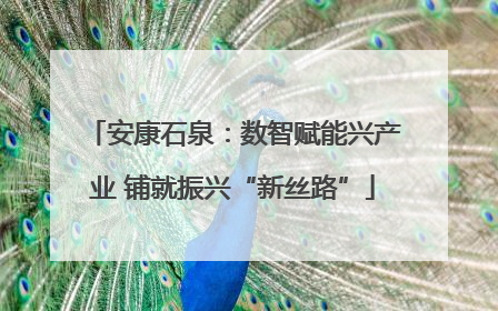 安康石泉：数智赋能兴产业 铺就振兴“新丝路”