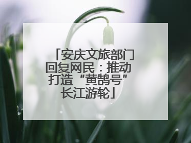 安庆文旅部门回复网民：推动打造“黄鹄号”长江游轮