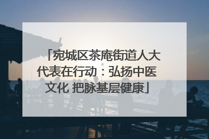 宛城区茶庵街道人大代表在行动：弘扬中医文化 把脉基层健康