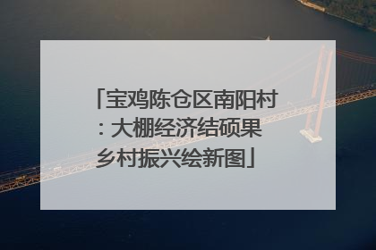 宝鸡陈仓区南阳村：大棚经济结硕果 乡村振兴绘新图
