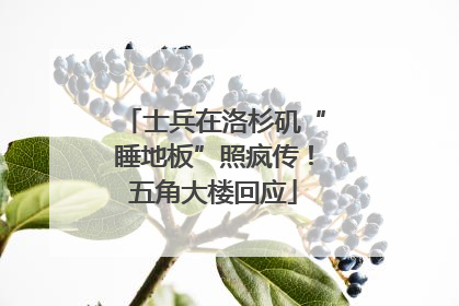 士兵在洛杉矶“睡地板”照疯传！五角大楼回应