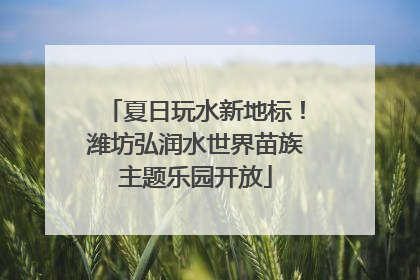 夏日玩水新地标！潍坊弘润水世界苗族主题乐园开放