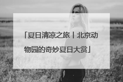 夏日清凉之旅丨北京动物园的奇妙夏日大赏