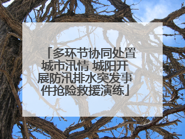 多环节协同处置城市汛情 城阳开展防汛排水突发事件抢险救援演练