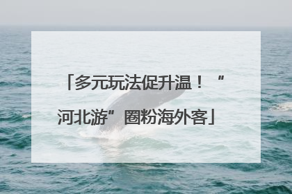 多元玩法促升温！“河北游”圈粉海外客