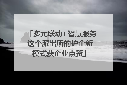 多元联动+智慧服务 这个派出所的护企新模式获企业点赞